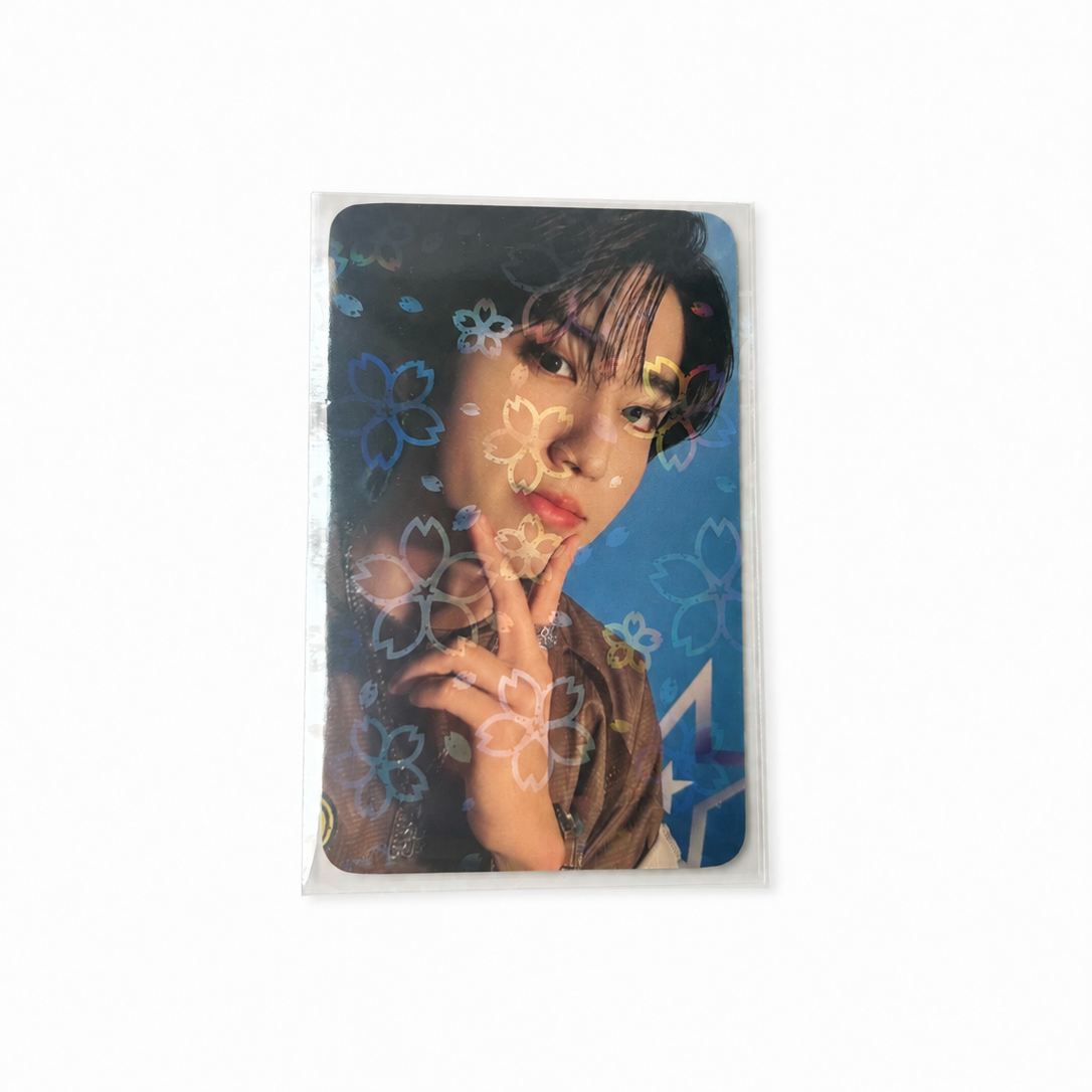 Holographic Photocard Sleeves - Sakura