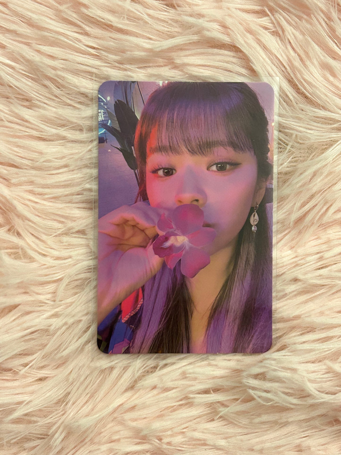 Twice Taste of Love Jeongyeon Photocards