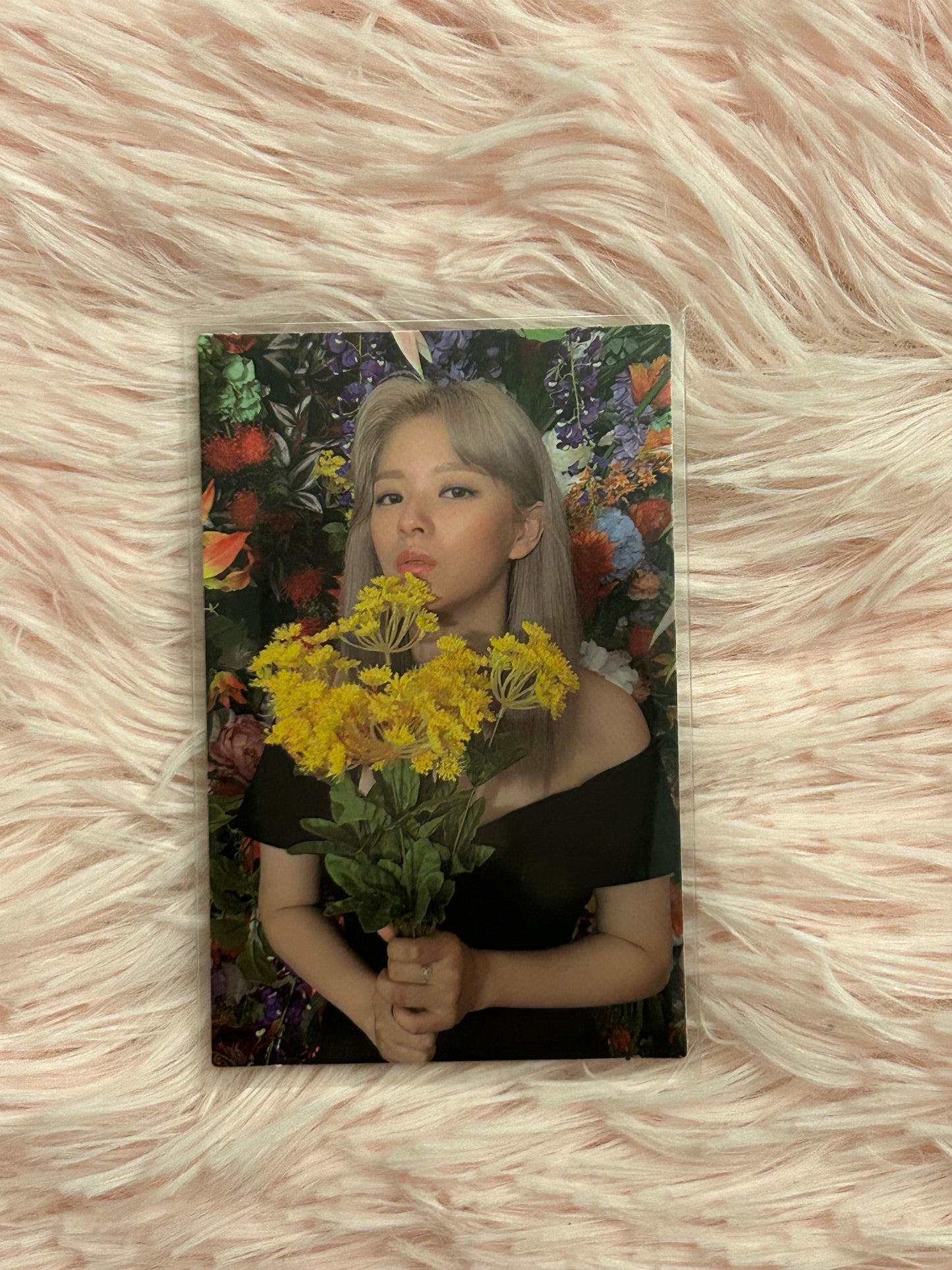 Twice Eyes Wide Open Jeongyeon Photocards