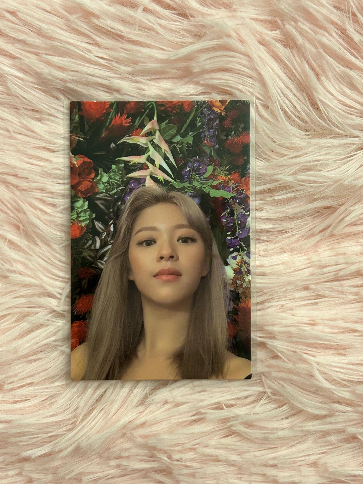 Twice Eyes Wide Open Jeongyeon Photocards