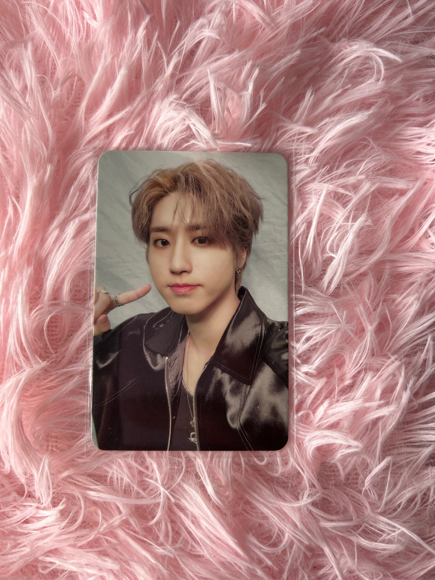 Stray Kids Han Photocards