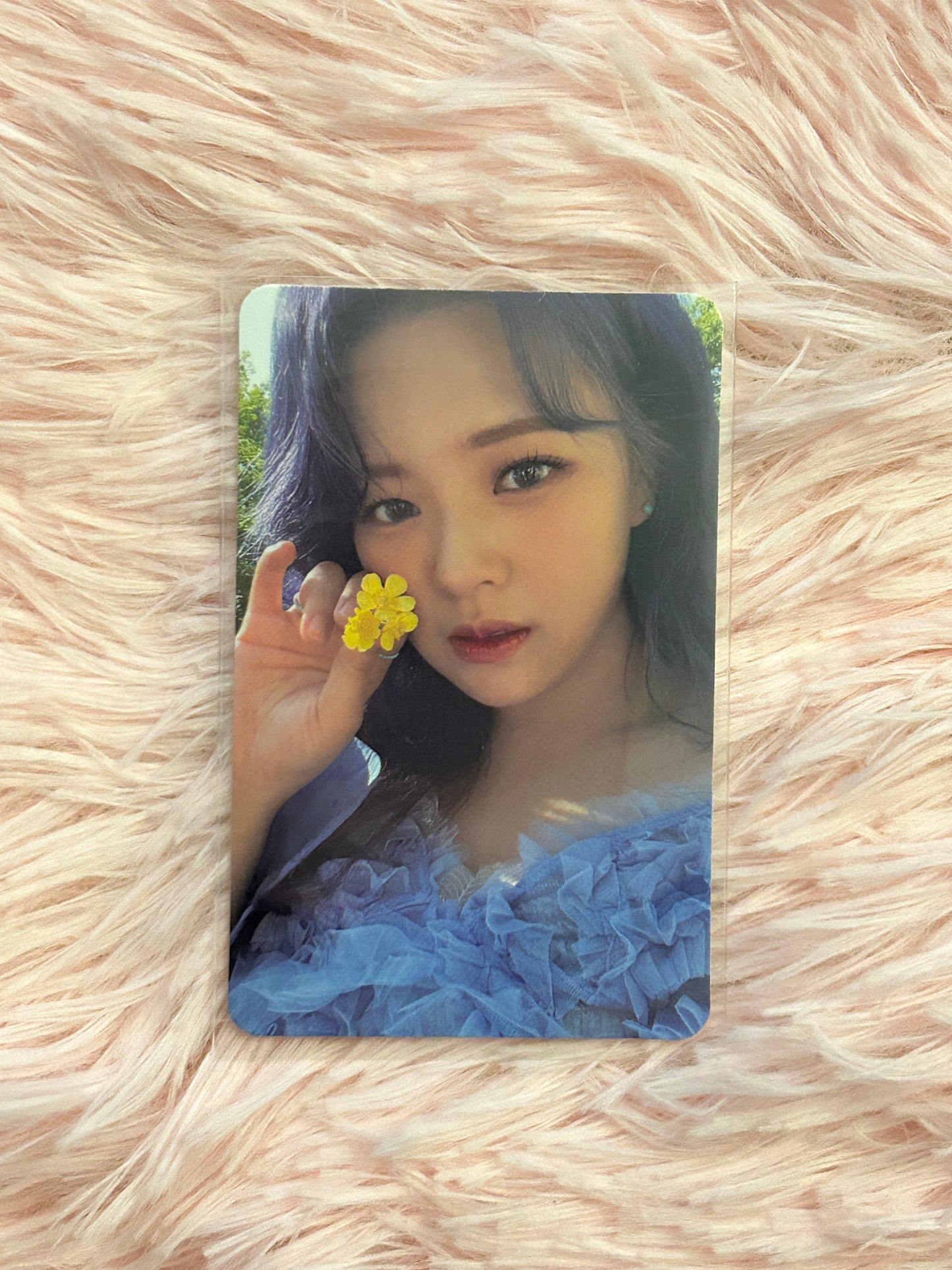 Twice Between 1&2 Jeongyeon Photocards